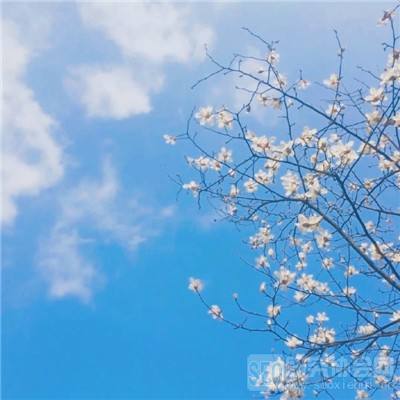 BET9官方APP下载正版下载手机版截图