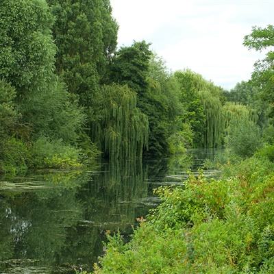 b体育手机版官网最新版本下载