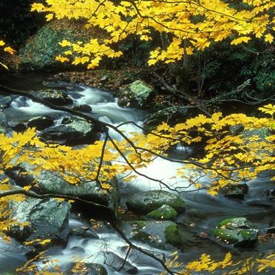 打鱼下载下载手机版