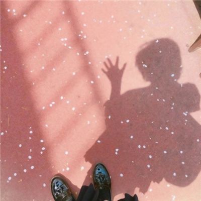 体育投注网址365